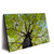 Led Wandbild Hoher Baum Querformat Produktvorschau Seitlich