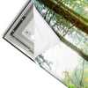 Led Wandbild Idyllischer Wald Bei Sonnenaufgang Hochformat Materialvorschau
