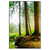 Led Wandbild Idyllischer Wald Bei Sonnenaufgang Hochformat Produktvorschau Frontal