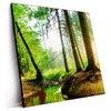 Led Wandbild Idyllischer Wald Bei Sonnenaufgang Quadrat Produktvorschau Seitlich