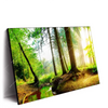 Led Wandbild Idyllischer Wald Bei Sonnenaufgang Querformat Produktvorschau Seitlich