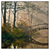 Led Wandbild Idyllischer Wald Mit Bruecke Quadrat Produktvorschau Frontal