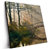 Led Wandbild Idyllischer Wald Mit Bruecke Quadrat Produktvorschau Seitlich