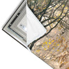 Led Wandbild Idyllischer Wald Mit Bruecke Schmal Materialvorschau