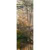 Led Wandbild Idyllischer Wald Mit Bruecke Schmal Motivvorschau