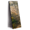 Led Wandbild Idyllischer Wald Mit Bruecke Schmal Produktvorschau Seitlich