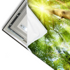 Led Wandbild Im Frischen Gruenen Wald Querformat Materialvorschau