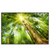 Led Wandbild Im Frischen Gruenen Wald Querformat Produktvorschau Frontal
