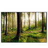 Led Wandbild Im Tiefen Wald Querformat Produktvorschau Frontal