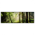 Led Wandbild Im Wald Panorama Produktvorschau Frontal