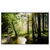 Led Wandbild Im Wald Querformat Produktvorschau Frontal