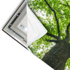 Led Wandbild Imposanter Baum Hochformat Materialvorschau