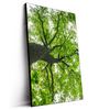 Led Wandbild Imposanter Baum Hochformat Produktvorschau Seitlich