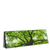 Led Wandbild Imposanter Baum Panorama Produktvorschau Seitlich