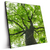 Led Wandbild Imposanter Baum Quadrat Produktvorschau Seitlich