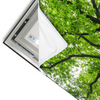 Led Wandbild Imposanter Baum Querformat Materialvorschau