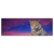 Led Wandbild Jaguar Auf Felsen Panorama Produktvorschau Frontal