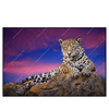 Led Wandbild Jaguar Auf Felsen Querformat Produktvorschau Frontal