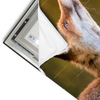 Led Wandbild Junger Fuchs Querformat Materialvorschau