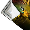 Led Wandbild Kampf Der Papageien Querformat Materialvorschau