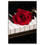 Led Wandbild Klavier Rose Hochformat Produktvorschau Frontal
