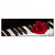 Led Wandbild Klavier Rose Panorama Produktvorschau Frontal