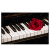 Led Wandbild Klavier Rose Querformat Produktvorschau Frontal