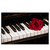 Led Wandbild Klavier Rose Querformat Produktvorschau Frontal