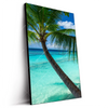 Led Wandbild Kokospalme Am Strand Hochformat Produktvorschau Seitlich