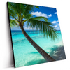 Led Wandbild Kokospalme Am Strand Quadrat Produktvorschau Seitlich