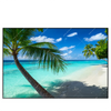 Led Wandbild Kokospalme Am Strand Querformat Produktvorschau Frontal