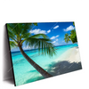 Led Wandbild Kokospalme Am Strand Querformat Produktvorschau Seitlich