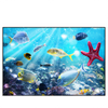 Led Wandbild Korallenriff Im Ozean Querformat Produktvorschau Frontal
