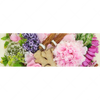 Led Wandbild Kraeuter Blumen Panorama Motivvorschau