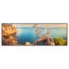 Led Wandbild Kuestenlandschaft Mit Altem Baum Panorama Produktvorschau Frontal