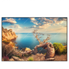 Led Wandbild Kuestenlandschaft Mit Altem Baum Querformat Produktvorschau Frontal