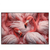 Led Wandbild Kuschelnde Flamingos Querformat Produktvorschau Frontal