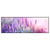 Led Wandbild Lavendelbluetenfeld Panorama Produktvorschau Frontal