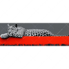 Led Wandbild Leopard Eleganz Trifft Abstraktion Panorama Motivvorschau