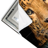 Led Wandbild Leopard Im Wasser Querformat Materialvorschau