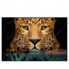 Led Wandbild Leopard Im Wasser Querformat Produktvorschau Frontal