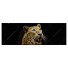 Led Wandbild Leopard In Der Dunkelheit Panorama Produktvorschau Frontal