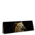 Led Wandbild Leopard In Der Dunkelheit Panorama Produktvorschau Seitlich