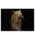 Led Wandbild Leopard In Der Dunkelheit Querformat Produktvorschau Frontal