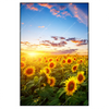 Led Wandbild Leuchtend Gelbe Sonnenblumen Am Abend Hochformat Produktvorschau Frontal