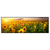 Led Wandbild Leuchtend Gelbe Sonnenblumen Am Abend Panorama Produktvorschau Frontal