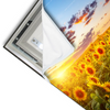 Led Wandbild Leuchtend Gelbe Sonnenblumen Am Abend Querformat Materialvorschau