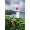 Led Wandbild Leuchtturm Auf Insel Hochformat Motivvorschau