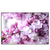 Led Wandbild Lila Fliederblueten Querformat Produktvorschau Frontal