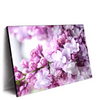 Led Wandbild Lila Fliederblueten Querformat Produktvorschau Seitlich